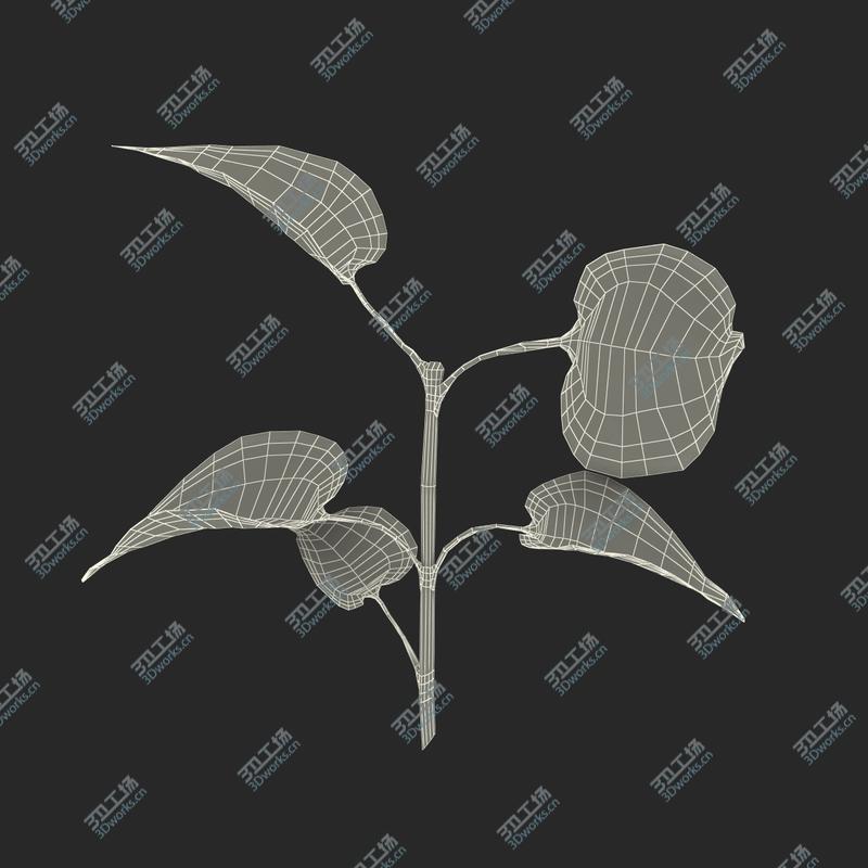 images/goods_img/2021040232/Branch With Leaves 2/4.jpg